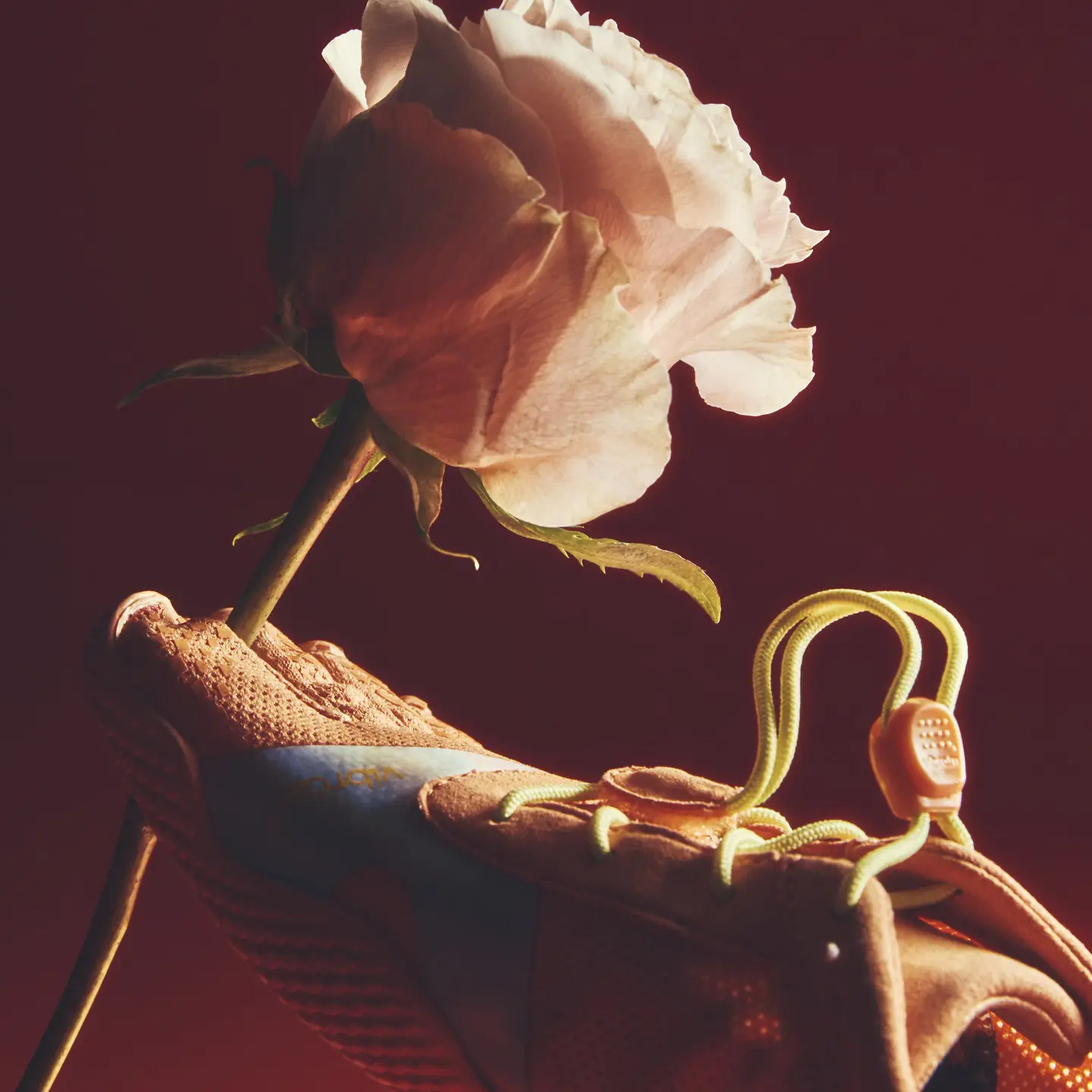 Paolo Grivet Taloccia - grivettal - Vibram Five Fingers